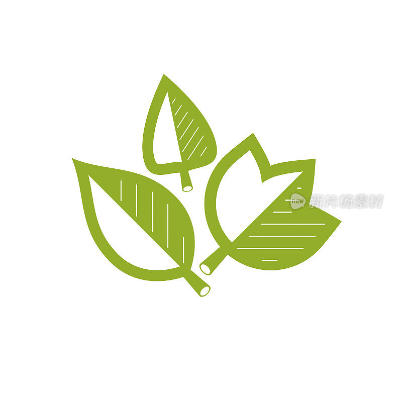 Green leaves isolated on white background. Healthy lifestyle conceptual icon for use in medical treatment organizations.